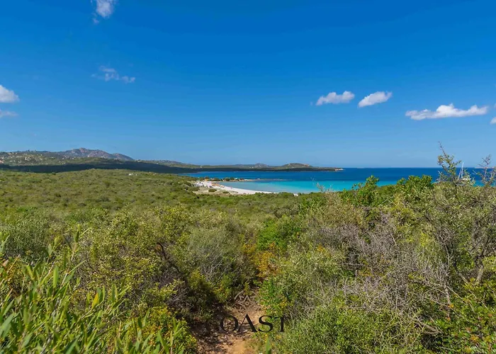 Rena Bianca Flat - Vista Mare, Wi-fi E Giardino *